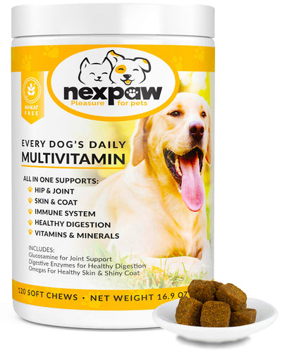 Every Dog's Daily Multivitamin – 120 Wheat-Free Soft Chews